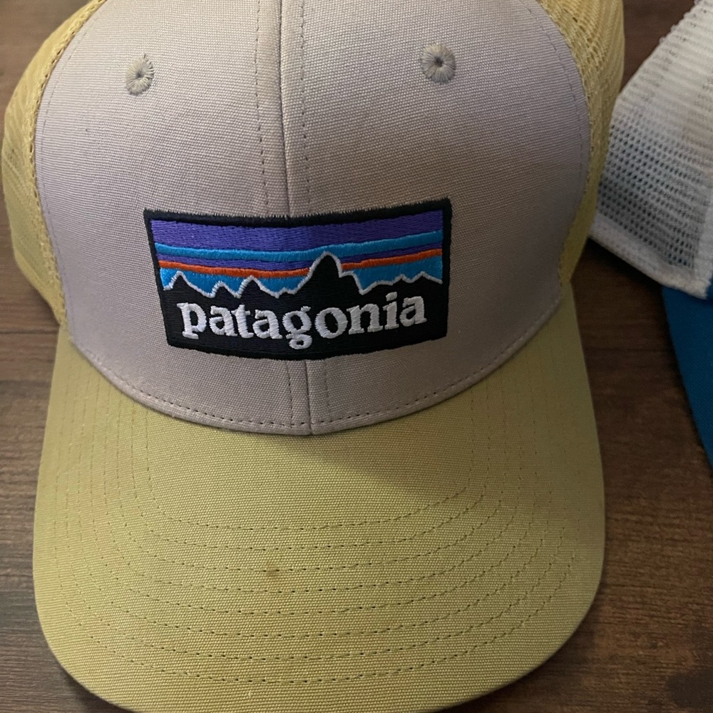 Patagonia Tan and Cream Trucker Hat